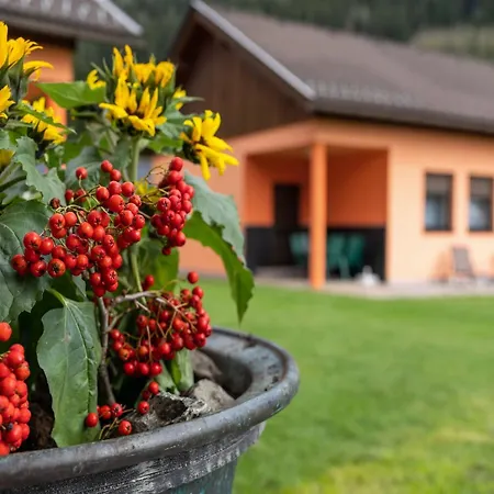 In Near Nockberge Alps