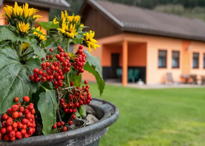 In Near Nockberge Alps